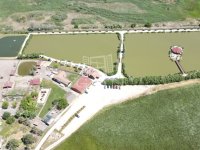 Eladó ipari ingatlan, Székesfehérvárott 150 M Ft