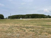 Eladó mezogazdasagi ingatlan, Kecskeméten 79 M Ft