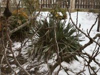 Eladó ikerház, III. kerületben 140 M Ft, 4+2 szobás