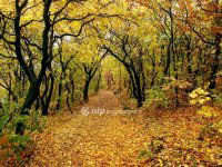 Eladó téglalakás, II. kerületben 98 M Ft, 1+2 szobás