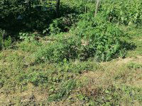 Eladó nyaraló, Nagykapornakon 9.9 M Ft, 1 szobás