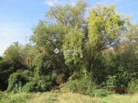 Eladó ipari ingatlan