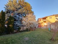 Eladó családi ház, Esztergomban 119 M Ft, 7 szobás