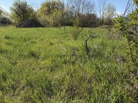 Eladó telek, Berhidán 14 M Ft / költözzbe.hu