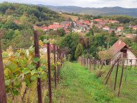 Eladó telek, Miskolcon 2.5 M Ft / költözzbe.hu