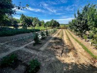 Eladó családi ház, Bonyhádon 65 M Ft, 3 szobás