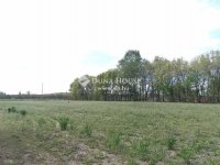 Eladó mezogazdasagi ingatlan, Kocséren 125 M Ft, 5 szobás