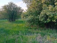 Eladó telek, Gyomaendrődön, Hantoskerti úton 2.5 M Ft