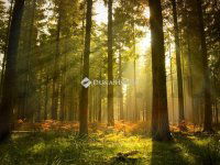 Eladó telek, Újlengyelen 24 M Ft / költözzbe.hu