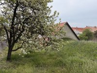 Eladó családi ház, Pécsett 42.9 M Ft, 3 szobás