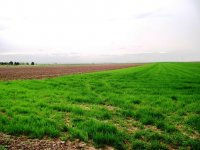 Eladó mezogazdasagi ingatlan, Székesfehérvárott 76.58 M Ft