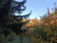 Eladó telek, Solymáron 69.9 M Ft / költözzbe.hu