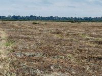 Eladó mezogazdasagi ingatlan