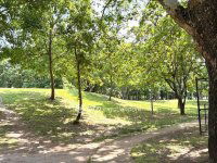 Eladó téglalakás, IX. kerületben 74.9 M Ft, 2 szobás