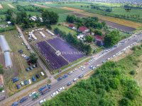 Eladó mezogazdasagi ingatlan