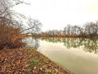 Eladó telek, Békésszentandráson 17.5 M Ft / költözzbe.hu