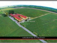 Eladó mezogazdasagi ingatlan