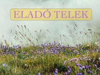 Eladó telek, Sződligeten 59.6 M Ft / költözzbe.hu