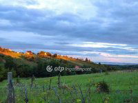 Eladó telek, Lesencefaluban 6.9 M Ft / költözzbe.hu