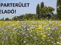 Eladó ipari ingatlan