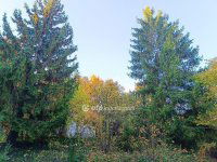 Eladó telek, Solymáron 64.9 M Ft / költözzbe.hu