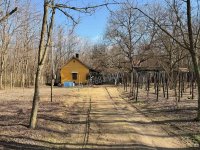 Eladó családi ház, Dabason 14.99 M Ft, 1 szobás