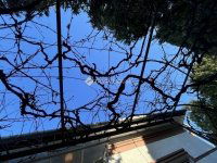 Eladó családi ház, XX. kerületben 84.5 M Ft, 3 szobás