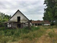 Eladó mezogazdasagi ingatlan, Sükösdön 16.9 M Ft