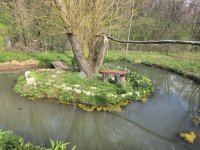 Eladó mezogazdasagi ingatlan, Hosszúhetényen 99 M Ft, 3 szobás
