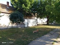 Eladó családi ház, Vecsésen 85 M Ft, 6 szobás