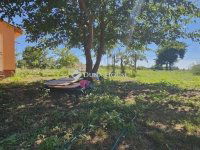 Eladó mezogazdasagi ingatlan, Szegeden 38.9 M Ft