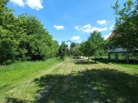 Eladó telek, Tiszacsegén 2.5 M Ft / költözzbe.hu
