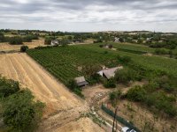 Eladó mezogazdasagi ingatlan, Polgárdin 45 M Ft