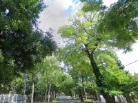 Eladó családi ház, Kecskeméten 394.5 M Ft, 7 szobás