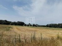 Eladó ipari ingatlan, Újlengyelen 1252.916 M Ft