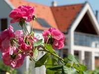 Eladó ipari ingatlan, Paloznakon 299 M Ft / költözzbe.hu