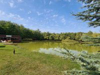 Eladó ipari ingatlan