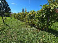 Eladó családi ház, Homokbödögén 47.9 M Ft, 4+1 szobás