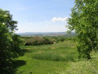 Eladó mezogazdasagi ingatlan, Gyulakeszin 18.9 M Ft, 2 szobás