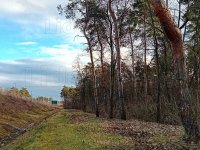 Eladó mezogazdasagi ingatlan, Győrött 15 M Ft