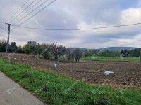 Eladó családi ház, Rédén 16.5 M Ft, 3 szobás