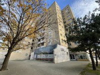 Kiadó panellakás, albérlet, Székesfehérvárott 160 E Ft / hó