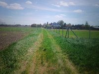 Eladó telek, Tökölön 8 M Ft / költözzbe.hu