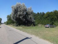 Eladó telek, Tiszakécskén 40 M Ft / költözzbe.hu