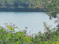 Eladó telek, Dunavarsányban 34.9 M Ft / költözzbe.hu