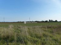 Eladó telek, Délegyházán 42 M Ft / költözzbe.hu