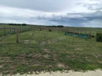 Eladó telek, Balatonszabadiban 23 M Ft / költözzbe.hu