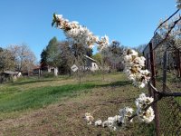 Eladó telek, Biatorbágyon 16.5 M Ft / költözzbe.hu