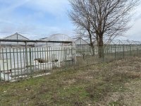 Eladó telek, Debrecenben 400 M Ft / költözzbe.hu