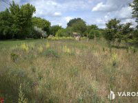 Eladó mezogazdasagi ingatlan, Sándorfalván 3.9 M Ft